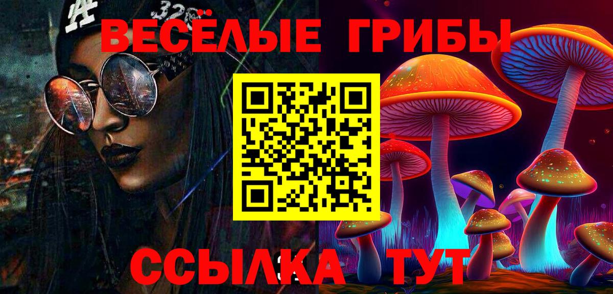 Галлюциногенные грибы прущие грибы  Вход с VPN  Галлюциногенные грибы мухоморы  Комсомольск-на-Амуре 
